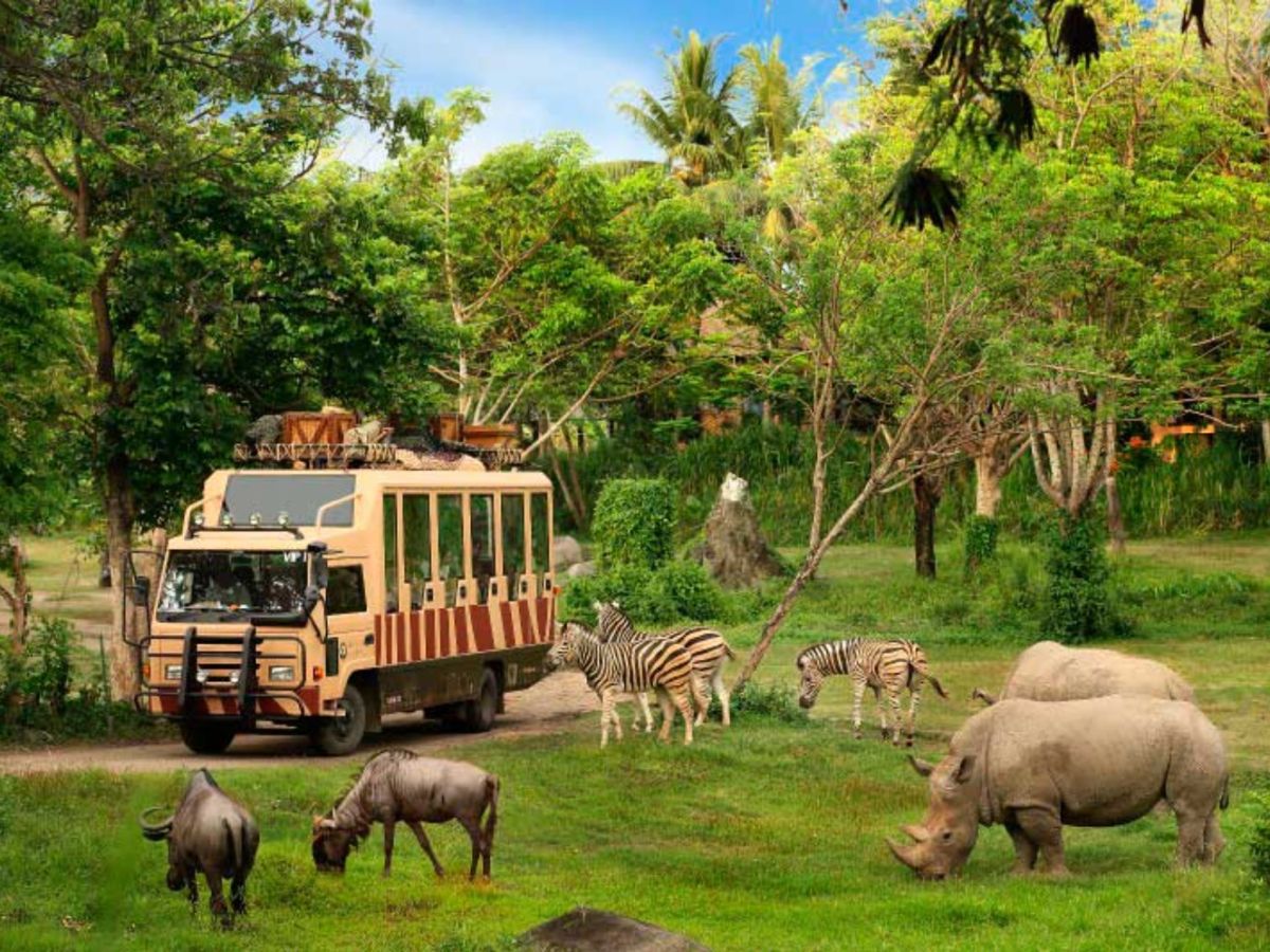 Bali Safari & Marine Park